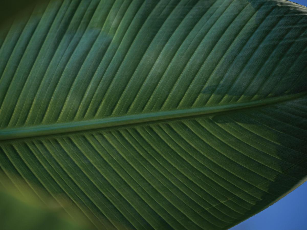 Homm Stay Yumiha Okinawa By Banyan Tree Group อนนะ ภายนอก รูปภาพ